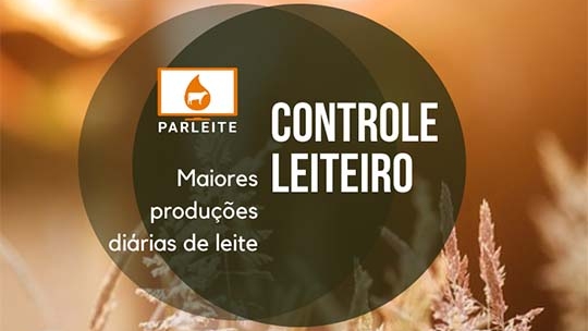 20 Maiores produções diárias | Dezembro 2020